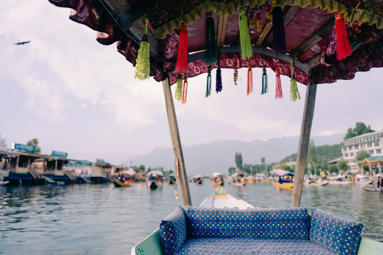 travel-image
